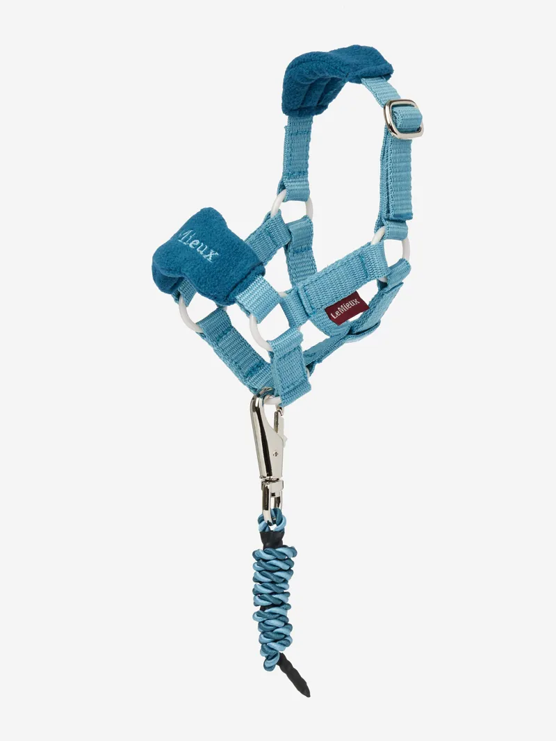 LeMieux Mini Toy Pony Headcollar in Marine